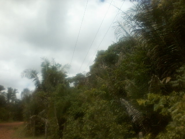 Presidente da Assocaiação de moradores da Lagoa do Canto e adjacentes afirma que as comunidades irão organizar protesto contra a Eletrobras - Imagem 4