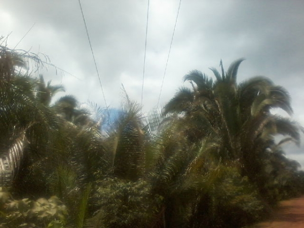 Presidente da Assocaiação de moradores da Lagoa do Canto e adjacentes afirma que as comunidades irão organizar protesto contra a Eletrobras - Imagem 3