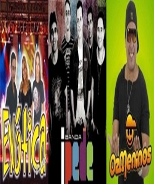 Banda Exótica, Oz Meninos e Banda Ipede vão animar a folia de carnaval em Ribeiro Gonçalves