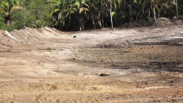 Prefeitura recupera açude assoreado na Comunidade Santa Maria - Imagem 1