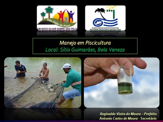 Retrospectiva das ações desenvolvidas em 2013 na Secretaria de Desenvolvimento Rural - Imagem 11