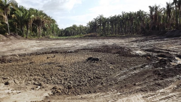 Prefeitura recupera açude assoreado na Comunidade Santa Maria - Imagem 7