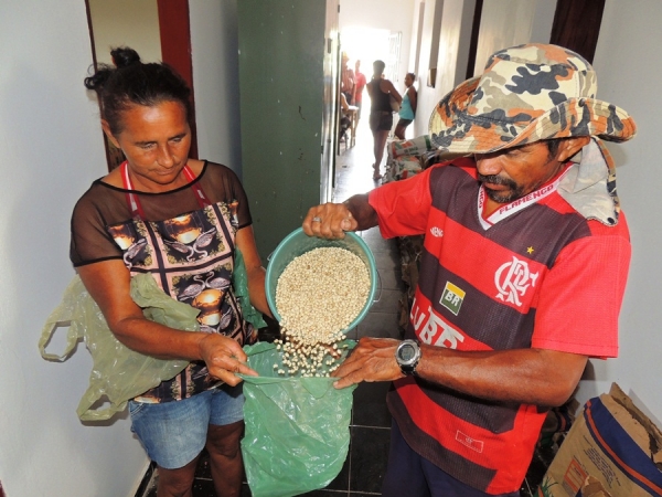 Prefeitura de Milton Brandão distribui sementes para agricultores - Imagem 2