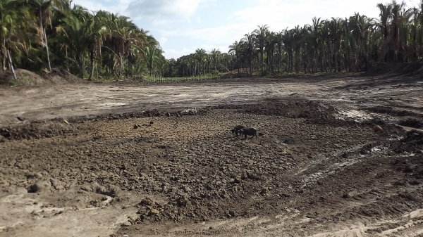 Prefeitura recupera açude assoreado na Comunidade Santa Maria - Imagem 6