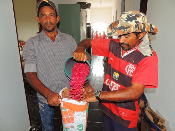 Prefeitura de Milton Brandão distribui sementes para agricultores - Imagem 4