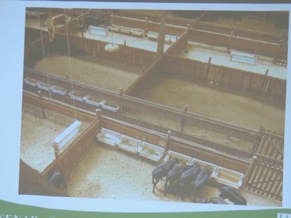                Criadores de ovinos e caprinos são beneficiados com curso do SENAR - Imagem 8