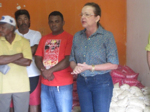 Sementes são entregues aos agricultores do município de Miguel Alves - Imagem 4