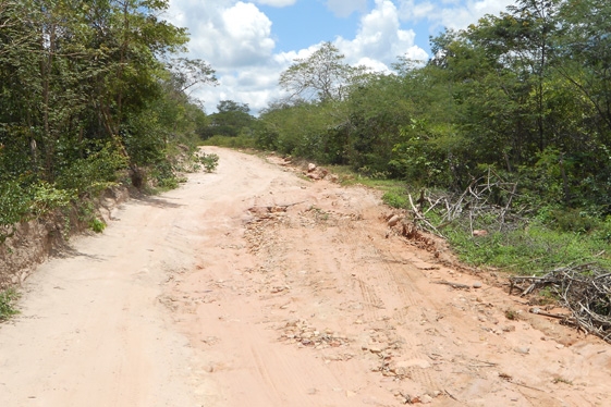 Prefeita Claudia lobo iniciou  Recuperação das  estrada do Para  Batins - Imagem 15