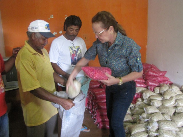 Sementes são entregues aos agricultores do município de Miguel Alves  