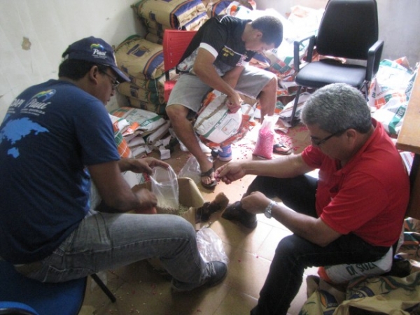 Sementes são entregues aos agricultores do município de Miguel Alves - Imagem 7