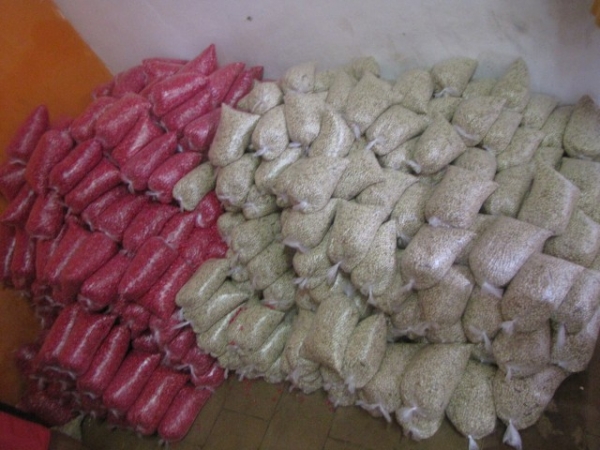 Sementes são entregues aos agricultores do município de Miguel Alves - Imagem 8