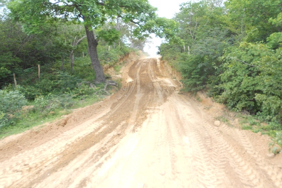 Prefeita Claudia lobo iniciou  Recuperação das  estrada do Para  Batins - Imagem 18