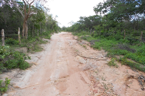 Prefeita Claudia lobo iniciou  Recuperação das  estrada do Para  Batins - Imagem 13
