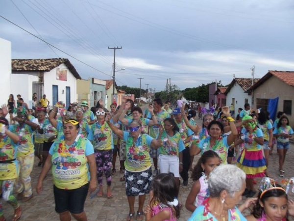 I Grito de Carnaval da TERCEIRA IDADE - Bloco Vaidoso 2014 - Imagem 15