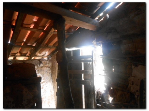 Marinete Simão da Silva vive com dois filhos e três netos em condições Subumanas  - Imagem 6