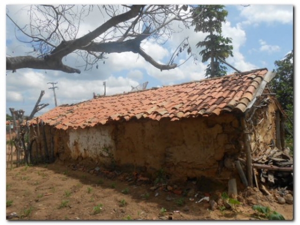 Marinete Simão da Silva vive com dois filhos e três netos em condições Subumanas  - Imagem 14