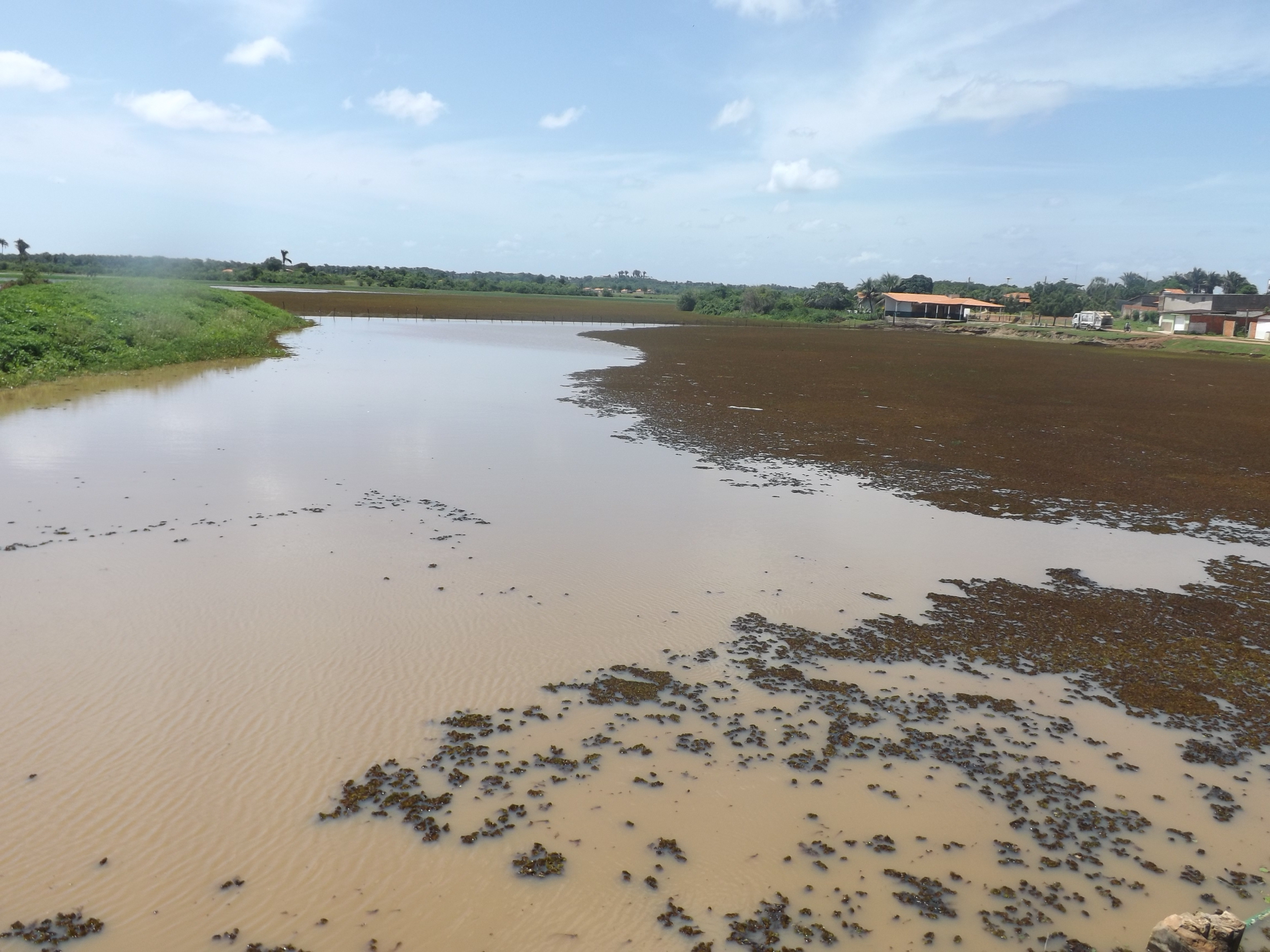 Prefeitura Inicia Limpeza da Lagoa