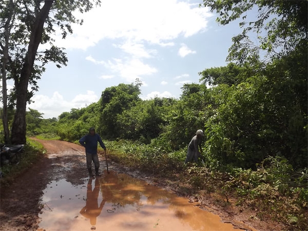 Prefeitura de Caxingó investe na melhoria de estradas vicinais - Imagem 5