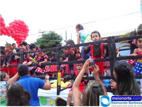 Carnaval 2014: Instituto Dom Quixote realiza belo desfile - Imagem 5