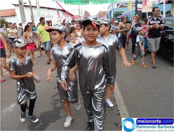 Carnaval 2014: Instituto Dom Quixote realiza belo desfile - Imagem 13