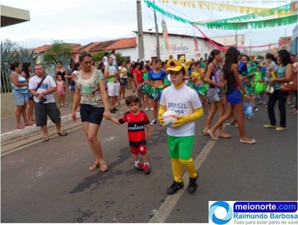 Carnaval 2014: Instituto Dom Quixote realiza belo desfile - Imagem 10