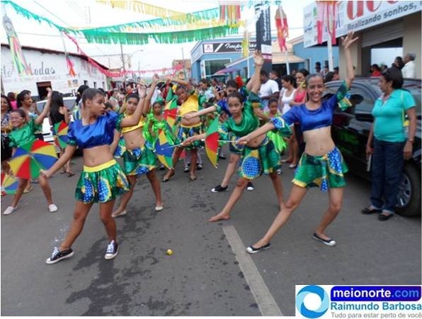 Carnaval 2014: Instituto Dom Quixote realiza belo desfile - Imagem 6