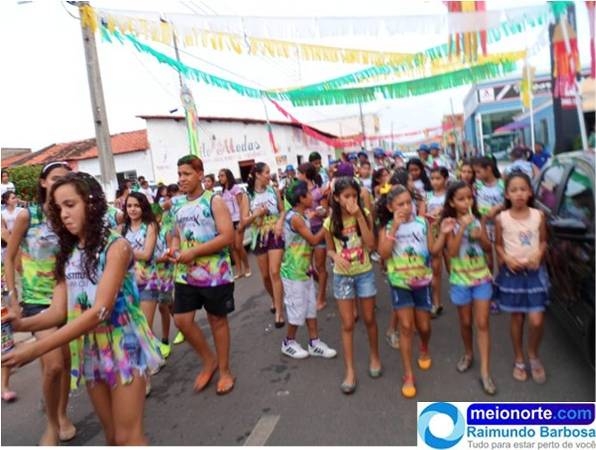 Carnaval 2014: Instituto Dom Quixote realiza belo desfile - Imagem 12