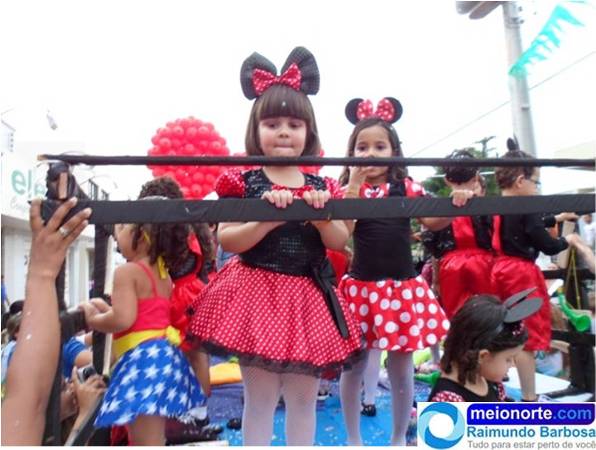 Carnaval 2014: Instituto Dom Quixote realiza belo desfile 