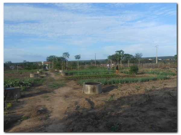 Horta Comunitária de Inhuma recebe incentivo da agricultura familiar - Imagem 5