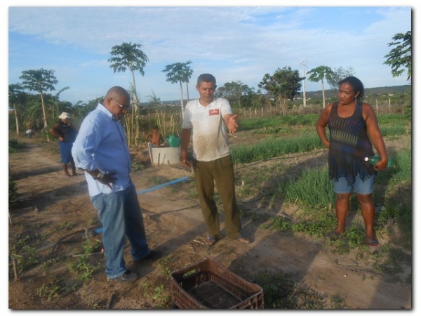 Horta Comunitária de Inhuma recebe incentivo da agricultura familiar - Imagem 2