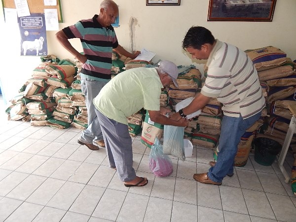 Agricultores de Lagoinha recebem sementes Milho e Feijão - Imagem 6