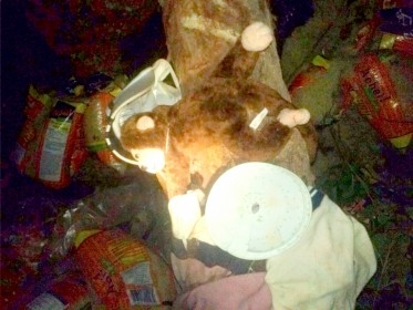 Mas um grave acidente com caminhão na ladeira da bananeira entre Tanque Oeiras  - Imagem 1