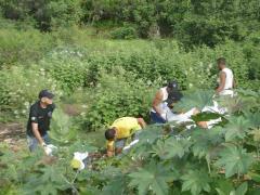 Rondon mobiliza sociedade para a limpeza das margens do Igarapé