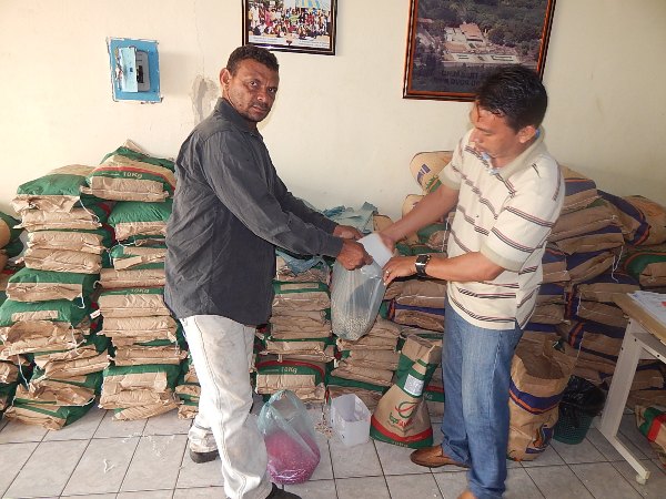  Agricultores de Lagoinha recebem sementes Milho e Feijão 