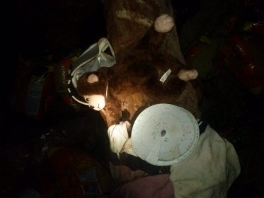 Mas um grave acidente com caminhão na ladeira da bananeira entre Tanque Oeiras  - Imagem 7