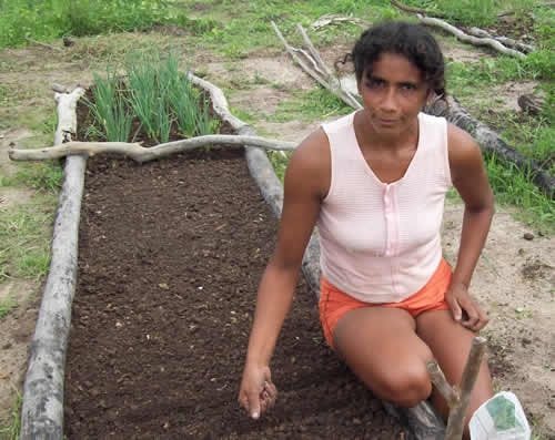 Assentamento Mororó recebe incentivo da Secretaria de Agricultura de Porto - Imagem 2
