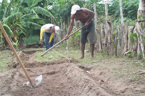 Assentamento Mororó recebe incentivo da Secretaria de Agricultura de Porto - Imagem 1