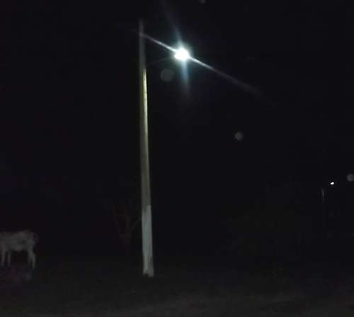 Prefeitura coloca iluminação pública na localidade Anajás - Imagem 3