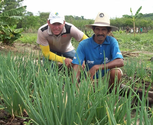 Assentamento Mororó recebe incentivo da Secretaria de Agricultura de Porto - Imagem 7