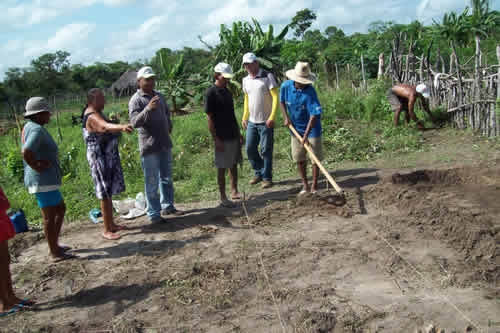 Assentamento Mororó recebe incentivo da Secretaria de Agricultura de Porto - Imagem 14