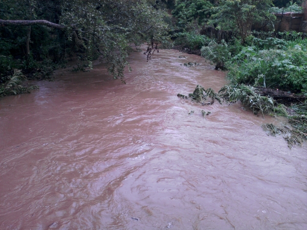 Elesbão Veloso tem registrado fortes chuvas - Imagem 3