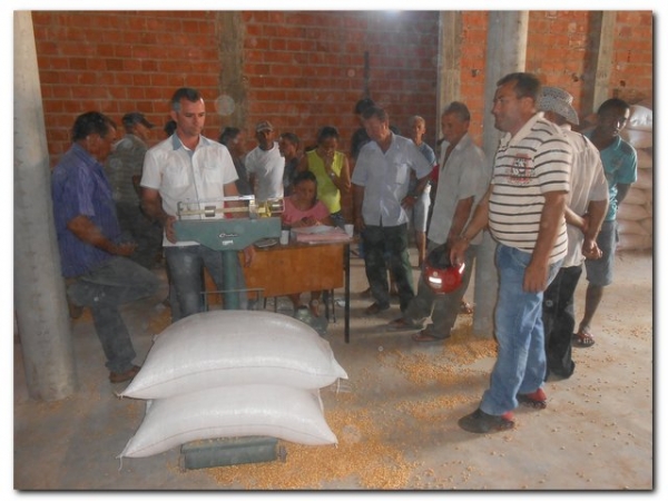 Secretaria Municipal de Agricultura em parceria com a CONAB distribui 106,5 toneladas de Milho para pecuaristas de Inhuma.  - Imagem 10