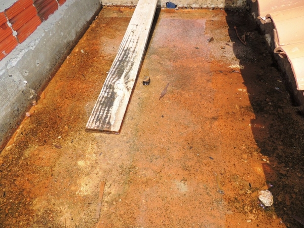 Agentes de Endemias descobrem grande criadouro do Mosquito Aedes Aegypti - Imagem 4