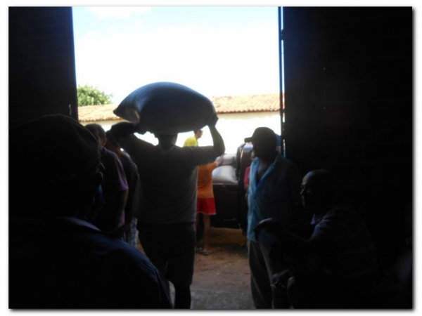 Secretaria Municipal de Agricultura em parceria com a CONAB distribui 106,5 toneladas de Milho para pecuaristas de Inhuma.  - Imagem 4