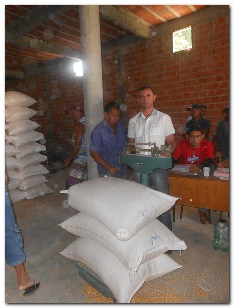Secretaria Municipal de Agricultura em parceria com a CONAB distribui 106,5 toneladas de Milho para pecuaristas de Inhuma.  - Imagem 11