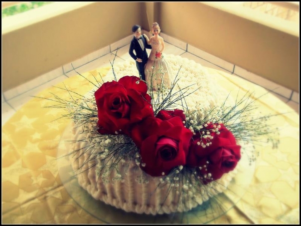 Franguitos de cara nova! - Imagem 11