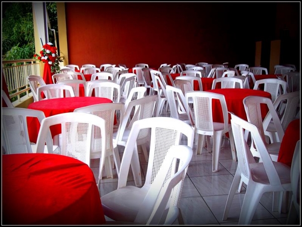 Franguitos de cara nova! - Imagem 9