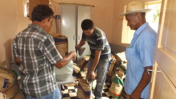 Entrega de sementes aos Agricultores Familiares  - Imagem 1