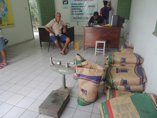 Secretaria Municipal de Agricultura distribui 2 toneladas de sementes - Imagem 3