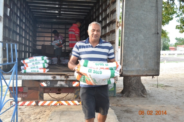 Prefeitura de Boa Hora distribuirá sementes a agricultores do município. - Imagem 8